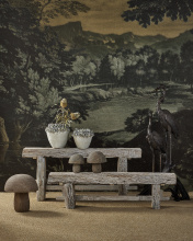 Images Shw2200-0058_11.jpg